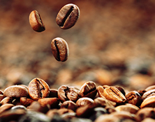 Coffee beans photo